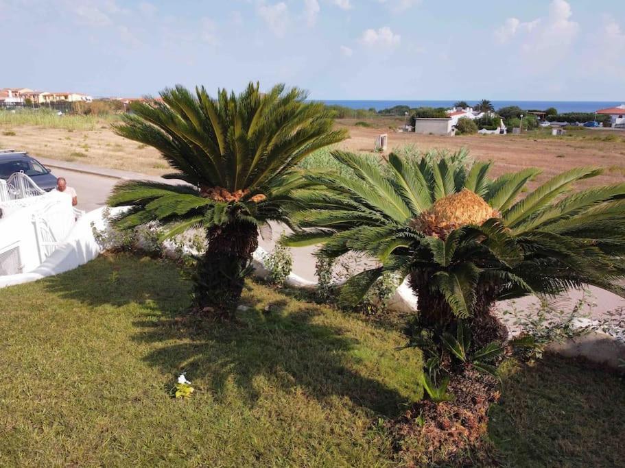 Casa Su Soli Sardu II - Sea View Valledoria Kültér fotó